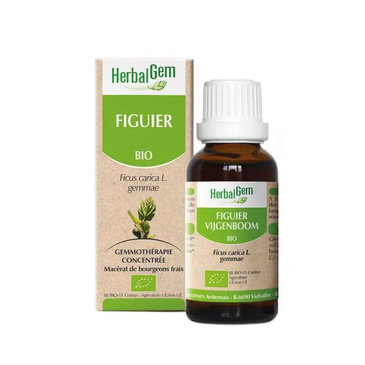 Un extrait de bourgeons frais de figuier bio de 30 ml de la marque HerbalGem.