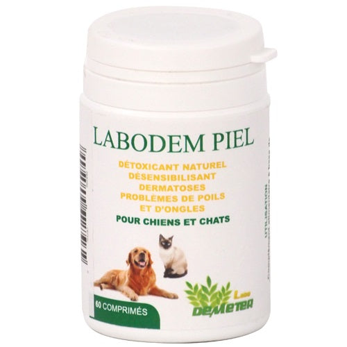 dermatoses allergiques, chute de poil, eczémas et problèmes digestifs du chien et du chat