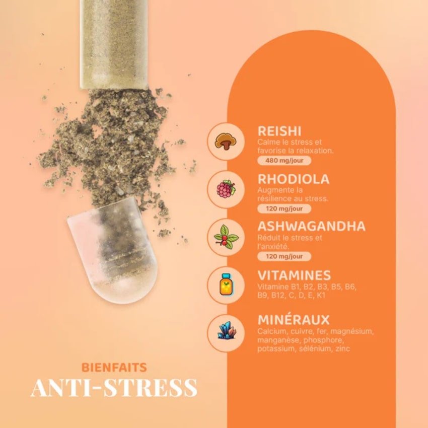 Une capsule de mush n go anti-stress détaillant les bienfaits des ingrédients