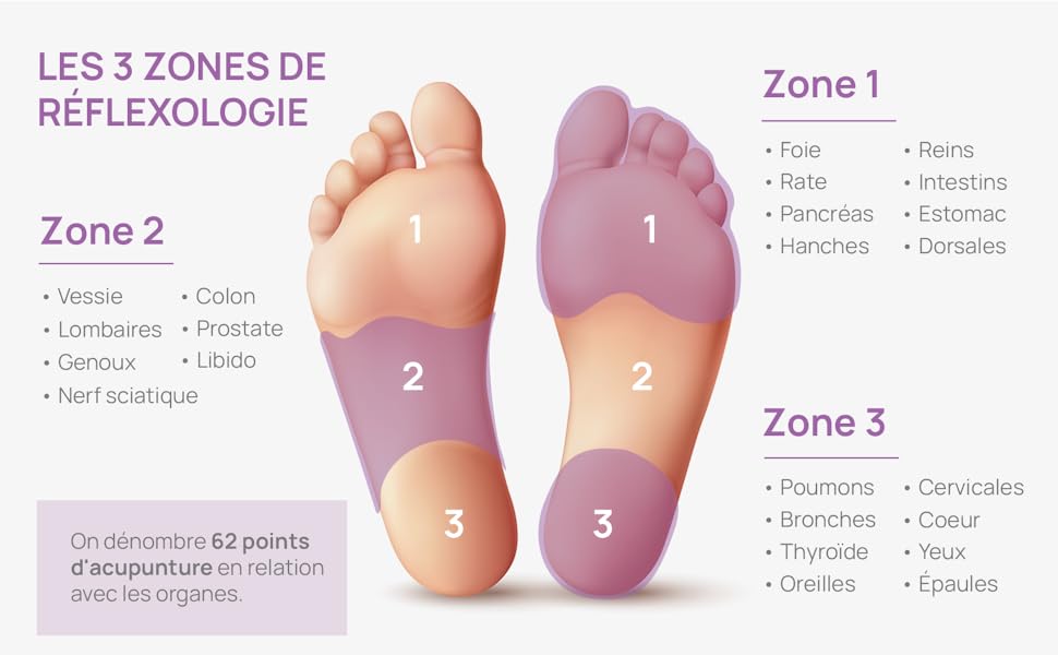 Les 3 zones de réflexologie plantaire