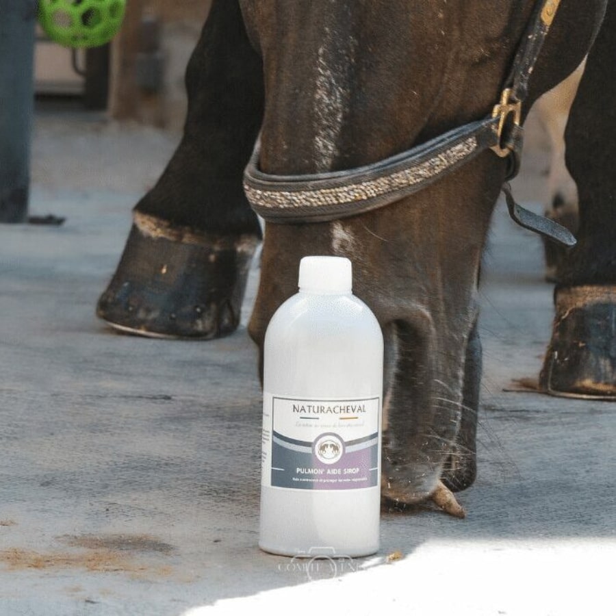 Une bouteille de 500 ml de Pulmon'aide sirop de la marque Naturacheval posée devant un cheval