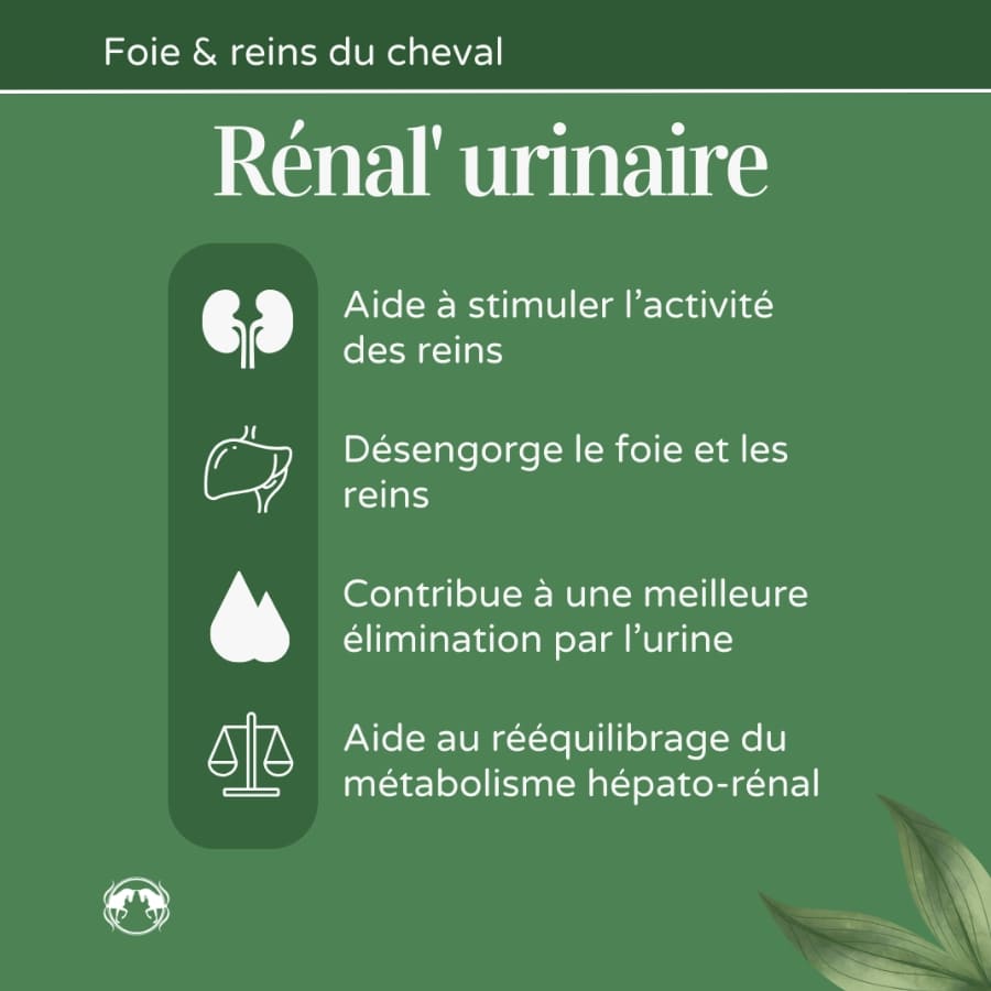 Bienfaits du Rénal'urinaire de la marque naturacheval