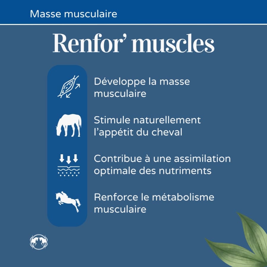 Renfor'Muscles Cheval - Développement & Soutien Musculaire - Naturacheval 1 L