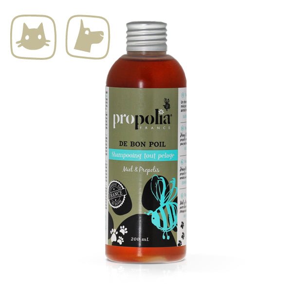 Un shampoing Propolia pour chien tout pelage au miel et à la propolis, de la marque propolia