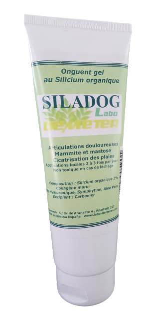 Gel pour les articulations douloureuses chien et chat