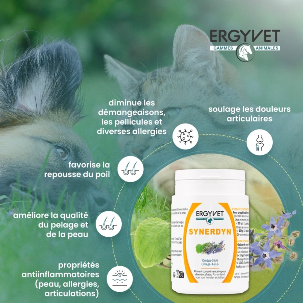 Bienfaits du synerdyn de la marque ergyvet