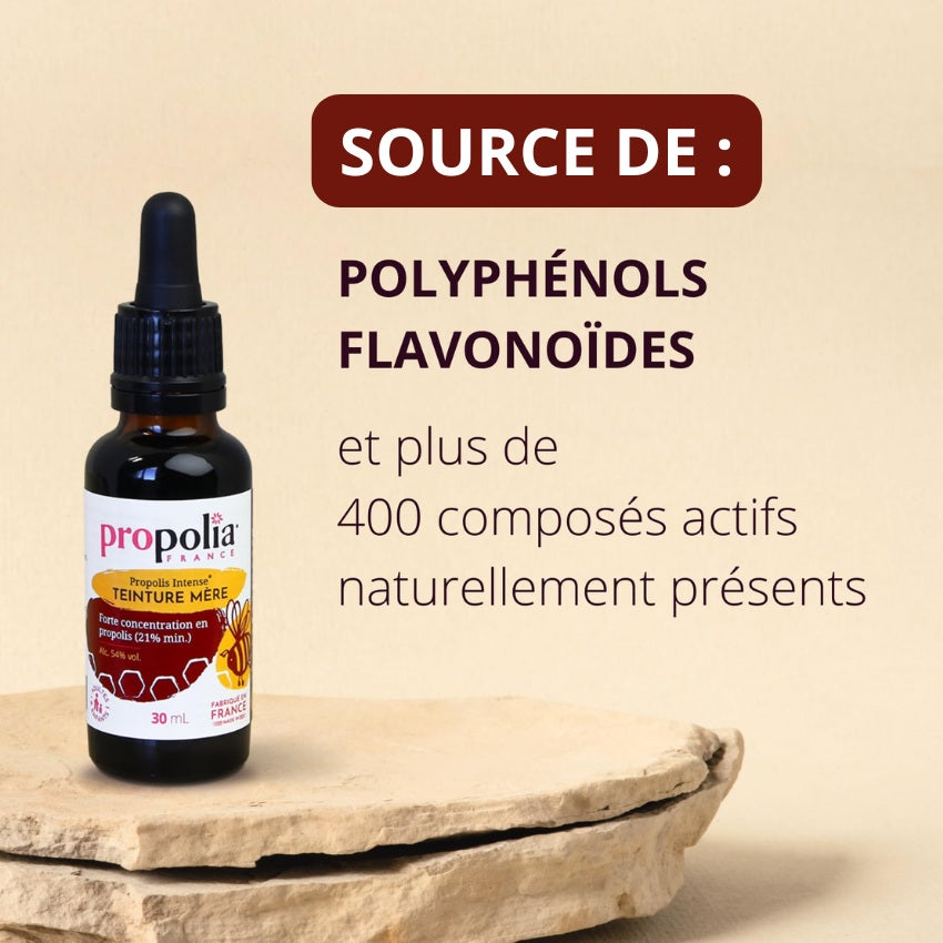 Les composés actifs de la teinture mère de propolis de la marque Propolia