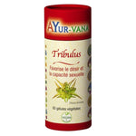 boîte de 60 gélules végétales de tribulus de la marque ayur-vana