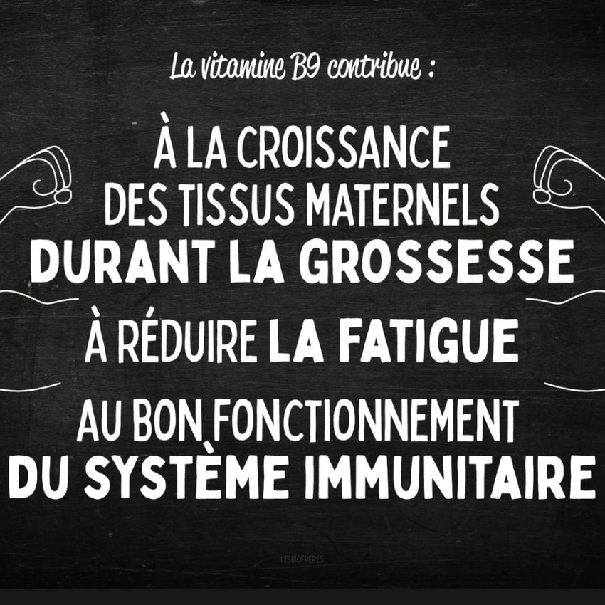 Les bienfaits de la Béneuf , la Vitamine B9 & Acide Folique Bio des Bio Frères